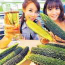 웰빙야채 - 동해시 천곡로 56-1 | 웰빙야채