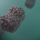 바이러스 이미지