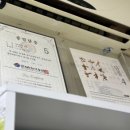 비룡경희대석사태권도장 이미지