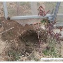 심가네농장 이미지