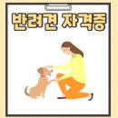 스마트한 펫시터 준비하기 기초반(반려동물 관리사 자격증과정) | 반려견 자격증 반려동물관리사 무료로 취득