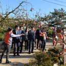 진흥자원 이미지