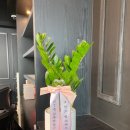 인투더짐 이미지