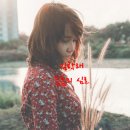 콘서트7080노래클럽 이미지
