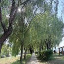 지에스25 반포주흥점 | ✨ 가을날의 낭만! 반포한강공원 한강라면&amp;서강준 배우님 영접 후기 🍜🍂