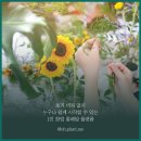 오플랜트미