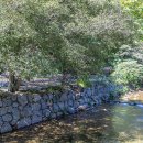 핫캠핑장 이미지