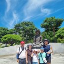 오대산늘벗 이미지