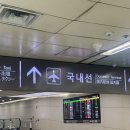 (주)금강렌트카 | 제주항공 7C125편 제주여행, 돌하루팡 렌터카 후기 (금강렌트카)