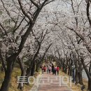 보문호반길 이미지