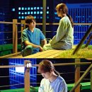 윤현민 카카오 검색결과