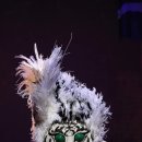 태평성대협동조합 이미지