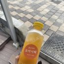 협신상회 이미지
