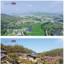 상두리마을 | 한국의 성씨 - 광산 김씨
