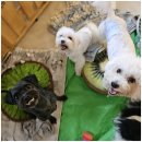 엄마 잘 다녀와 이미지