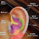 조조피어싱