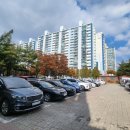 시니어댄스 (고급) 이미지