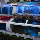 포항수협송도활어회센터 이미지