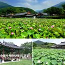 제172차 제17교구금산사말사,전주=송광사 / 완주=정혜사 이미지