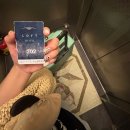 로피하우스 이미지