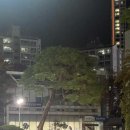 GR(대구광역시 달성군)-[매곡로]-하-2 | [대구 다사역 맛집]다가온다... 다가온다...생새우철이 !!! 다팜큰바다수산 생새우회 가성비 대박