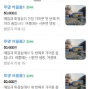 숲에서 온 유정란 | 방학에 딱 좋았던 별꽃포레스트｜버블돔 + 숲체험 만족도 리얼후기