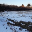 중앙탑면사무소 이미지