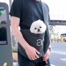 조이그루밍 이미지