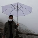 손길에반하다 네이버블로그