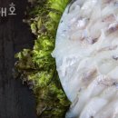 선감동횟집 서해호 가격 위치 영업시간