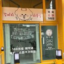 큐티몽 | 부천 애견미용 추천｜소사구 가위컷 전문 ‘큐티몽’ 애견미용 후기 🐩 썸머컷+탄산스파까지 완벽!