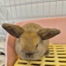 패러그린샵 명지점 이미지