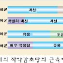 김필규한의원 이미지