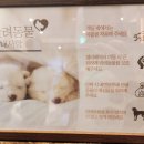 벨라몽 애견호텔 이미지