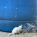 멍몽 | 똑똑, 오월의 문 활짝.