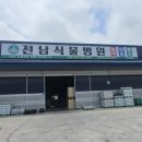 전남식물병원 네이버블로그