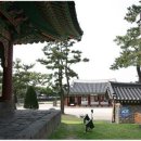 제주 관덕정 이미지