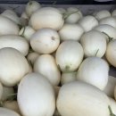 하늘그린