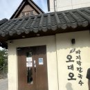 포은대로512번길 | 오대오 바지락 칼국수 용인기흥점 후기 | 푸짐한 바지락칼국수 맛집, 깨끗하고 본점이랑 차이 없는 맛