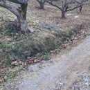 매밑농장 이미지