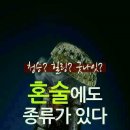 혼술 - 동두천시 | 혼술