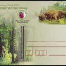 유럽들소 (European Bison) 이미지