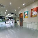 하트애견미용실 이미지