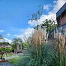 송라목장 이미지