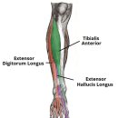 삼정오아시스 이미지