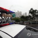 간선-49 이미지
