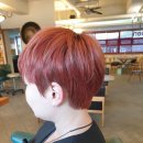 헤어리빙 - 고창군 | 헤어리빙