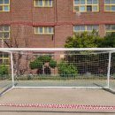 상수초교 이미지