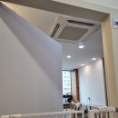 도그살롱바른핏 | [의정부시 의정부동] 깔끔하고 예쁘게 애견미용 할 수 있는 '도그살롱바른핏'