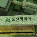 야광기술